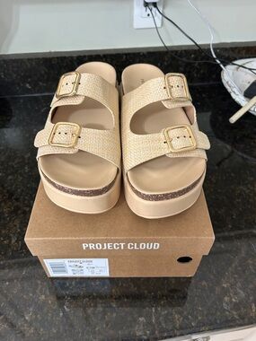Project Cloud Beige Platform Slide Sandals